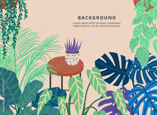 Banner with decorative houseplants growing in pots, illustration in simple flat style with copy space for text. 