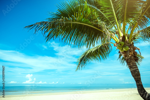 Fototapeta Naklejka Na Ścianę i Meble -  Palm tree and tropical beach