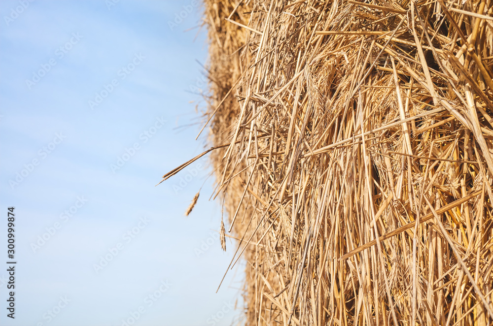 Close up picture of a haystack against the sky, selective focus.