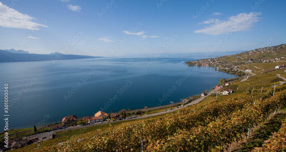 Vineyards and the city of Lausanne on the north shore of Lake Geneva of Switzerland