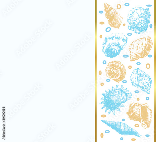 Hand drawn sea shells. Colorful seashells isolated on light background. Invitations, greeting cards, posters, prints, banners, flyers. Marine set.