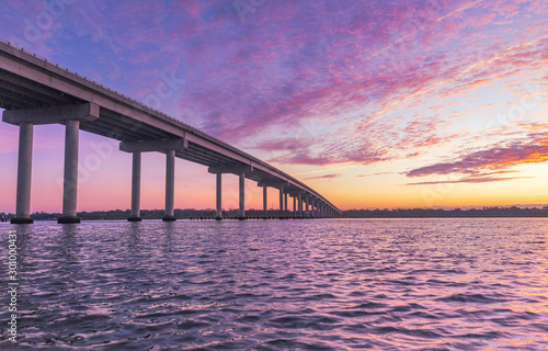 Maybank Highway Bridge. St. John's Island, South Carolina photo