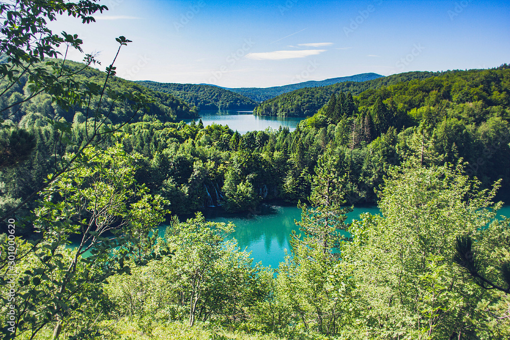 Beautiful lake and view in Plitvice National Park. Croatia. Summer (June).