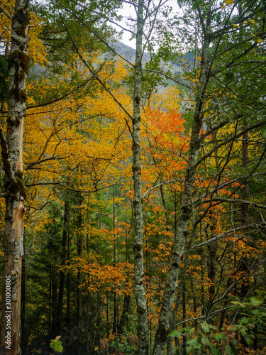 Autumn Colors © Sarah