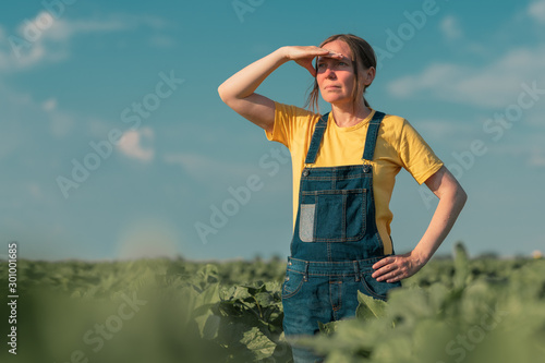 Sunflower farmer posing in field
