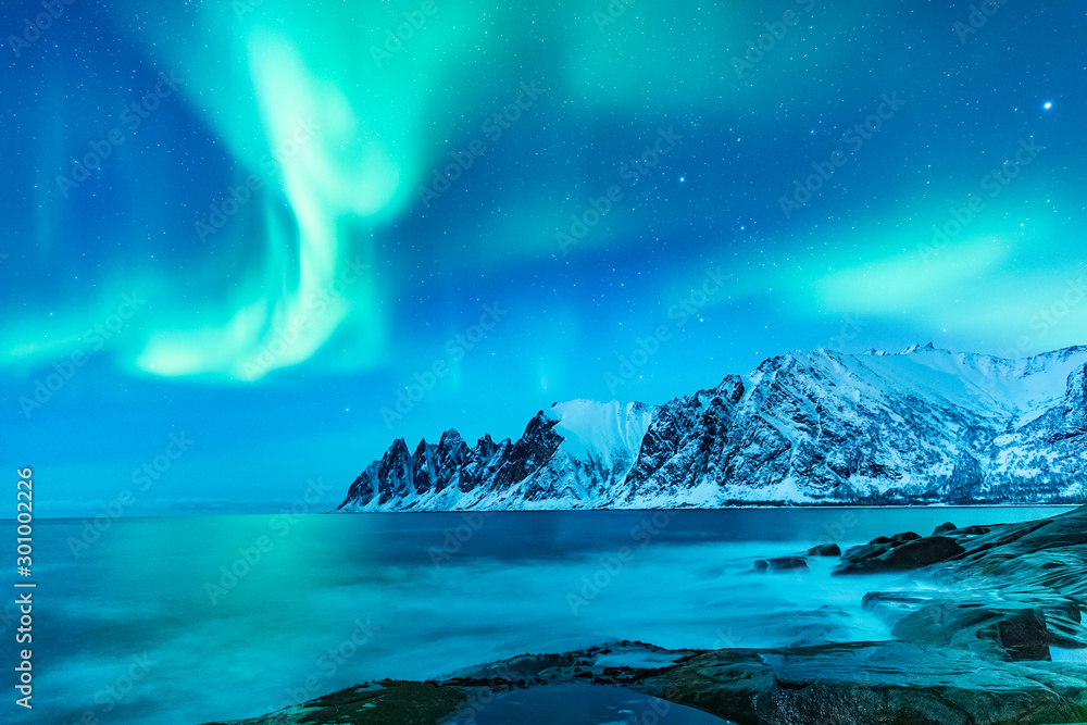 Vivid Northern lights during polar night on Lofoten Islands in Norway. Epic  scene of dancing aurora