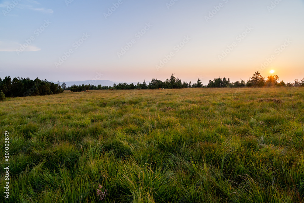 Wanderung im Schwarzwald