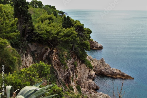 Dubrovnik landscape, Croatian nature. Green rocks and blue sea. Stones at the bottom of the sea. Sunny day. Rocky coast, plants and flowers.