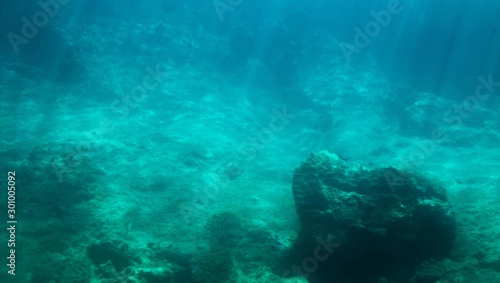Adriatic Coast, Mediterranean Sea. Rocky coast and clear water of the sea. Croatia. Europe
