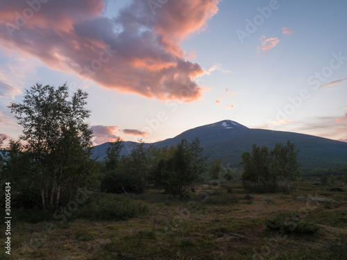 Beautiful wild Lapland nature landscape with birch tree forest and mountain Sanjartjakka. Sweden north landscape in summer  sunset pink clouds