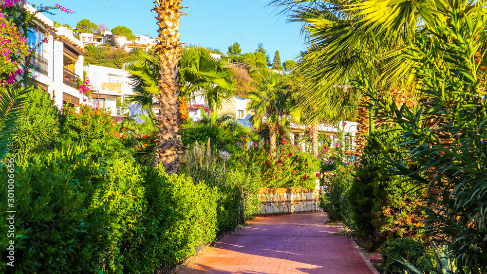 A beautiful street of a small town with tropical plants on the Mediterranean coast