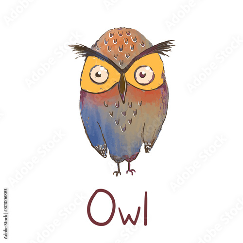 Vector colorful illustration of cute owl isolated on white background. Can be used as elemets for your design for greeting cards, nursery, poster, card, birthday party, packaging paper design, baby t