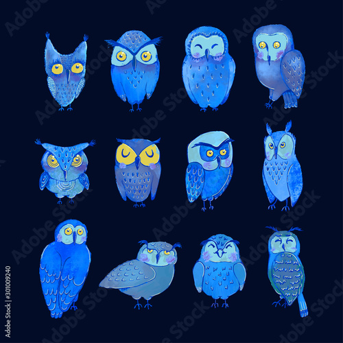 Vector colorful set with illustrations of cute night owls. Can be used as elemets for your design for greeting cards, nursery, poster, card, birthday party, packaging paper design, baby t-shirts
