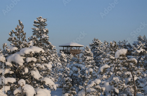 The roof of a wooden observation tower among the snowy trees. Winter landscape.