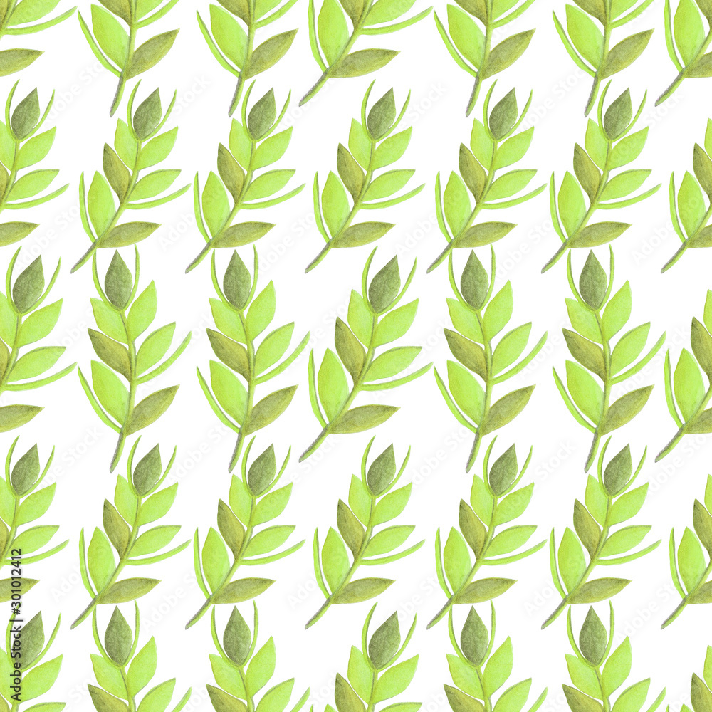 Fototapeta watercolor illustration, Seamless pattern, thanksgiving, autumn green rye branches on white background, illustration for printing postcards, posters, websites and so on