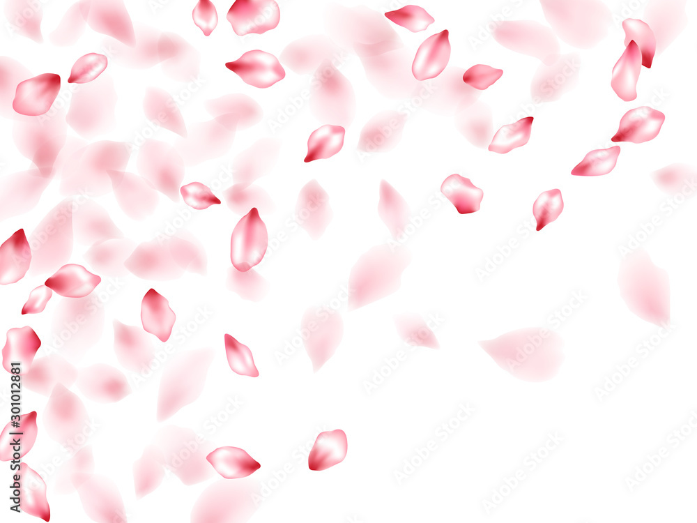 Pink sakura flower flying petals isolated on white vector background.