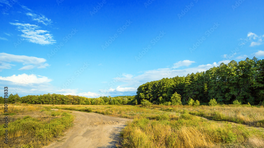 Obraz premium Autumn nature landscape