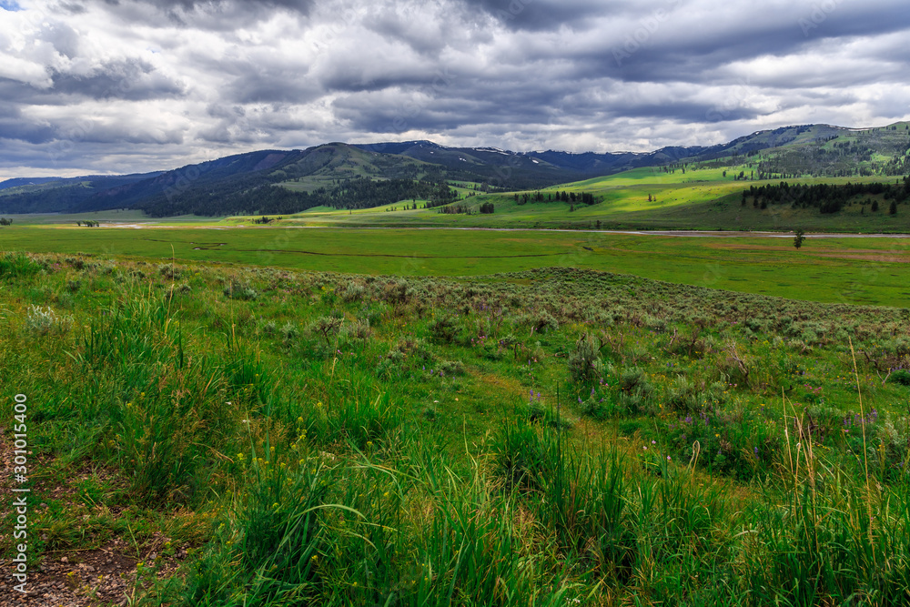 Lamar Valley in Yellowstone National Park