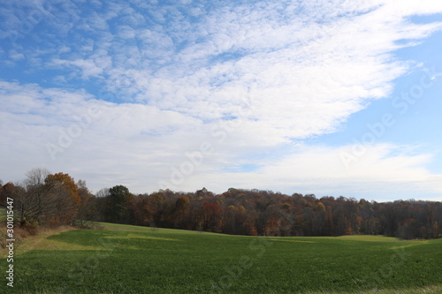 landscape with green field and blue sky