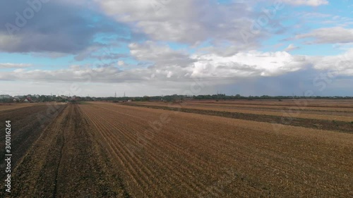 Revealing shot of sky and fields full of crops. Sunny day on the agriculture crop fields.