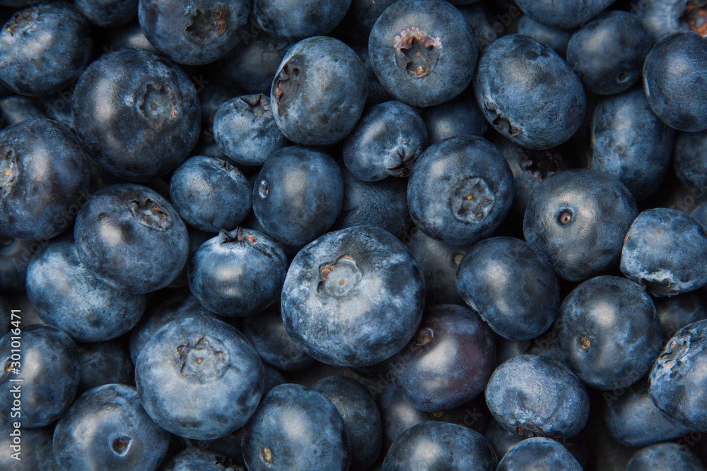 Blueberry background. Berries closeup Blueberry background. Berries closeup