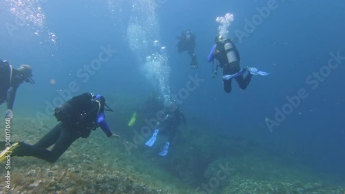 Wallpaper Mural Underwater foorage of Divers in the water Torontodigital.ca