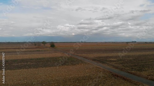 Revealing shot of sky and fields prepared for seeding. Sunny day on the agriculture crop fields.
