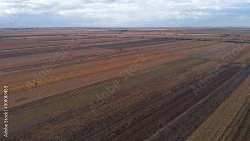 Revealing shot of sky and fields prepared for seeding. Sunny day on the agriculture crop fields.