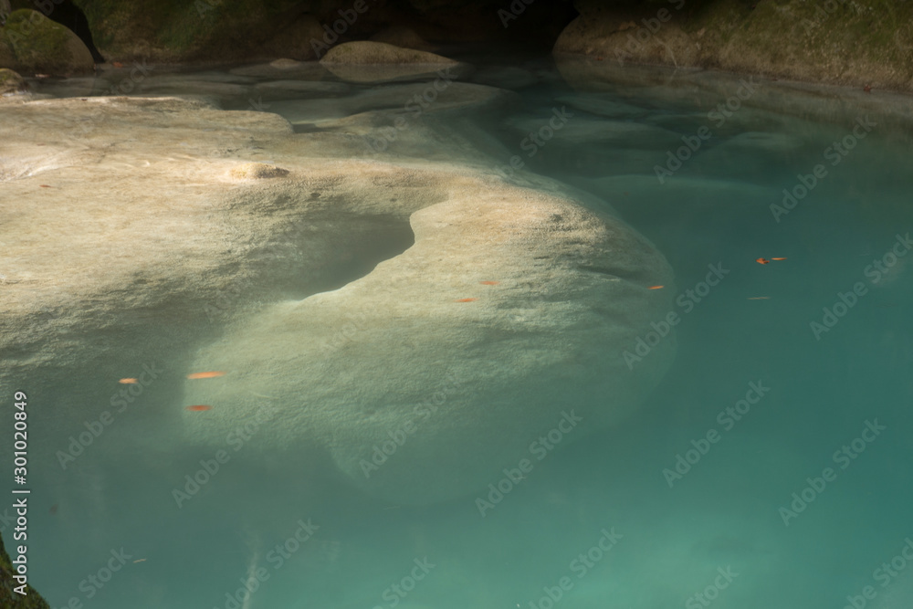 Naklejka premium Turquoise water pond in Urederra River, Navarra