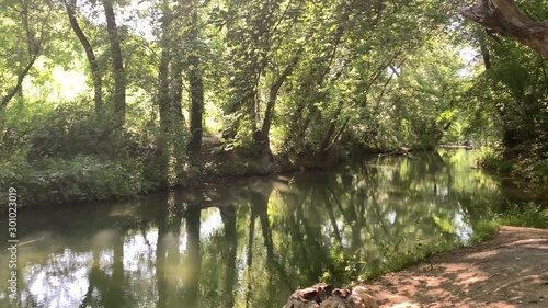 Beautiful river, a lot of greenery and trees, a beautiful reflection in the water. Black River, Crimea, Sevastopol