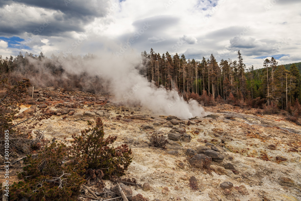 Steamboat Geyser Venting in the Yellowstone National Park