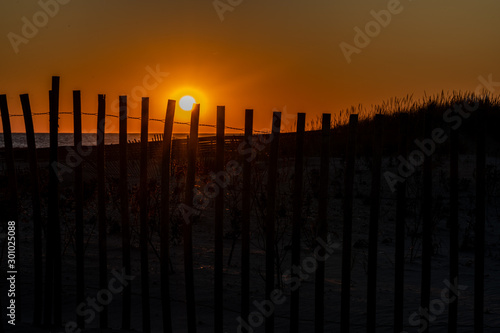 Fenced in Sunset