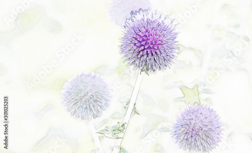 Close up of a beautiful blue thistle in the garden
