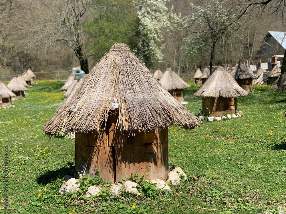 Bee hive in the form of houses on green grass Bee hive in the form of houses on green grass