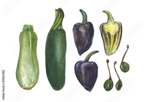 Watercolor set of vegetables. Blue pepper, eggplant, zucchini and capers. On the theme of nature, food, cooking