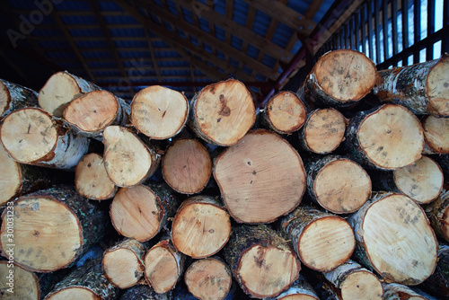 Chopped logs of firewood piled under the roof. Fuel for stove heating. Wooden firewood stacked. Natural wood background. Stacked birch firewood in a backyard. Pile of chopped dry logs