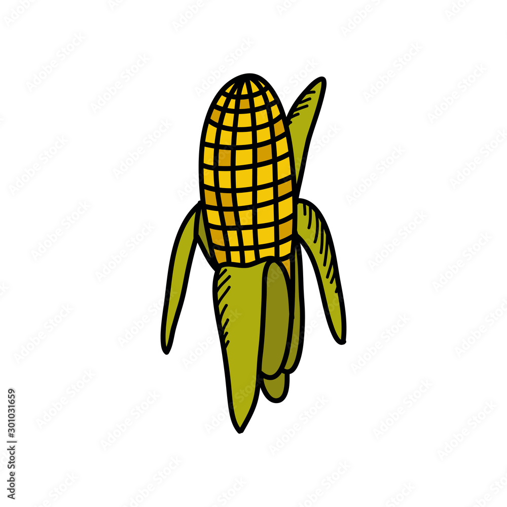 corn doodle icon, vector illustration corn doodle icon, vector illustration