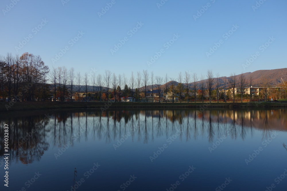夕方の矢ケ崎公園の池