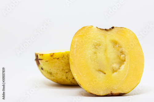 Fruit of the Psidium friedrichsthalianum called guayaba agria or guayaba coronilla photo