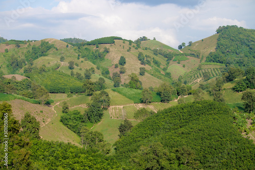 In the mountains there are deforestation. Destroy nature to make a farmland.