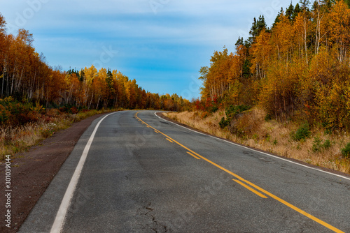 A long two lane paved road with a slight curve to the right in the background. The highway has tall orange, green and yellow trees on both sides and blue sky with clouds. 