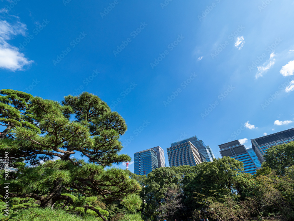 Obraz premium 青空と東京のオフィスビル