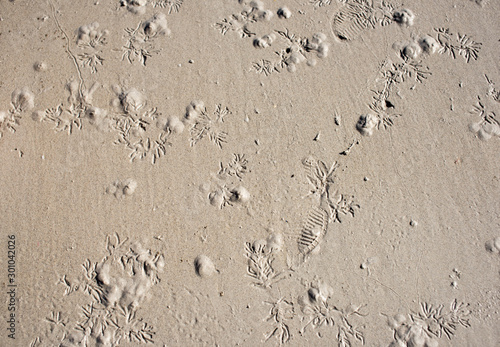 Sand skin that has characteristics
