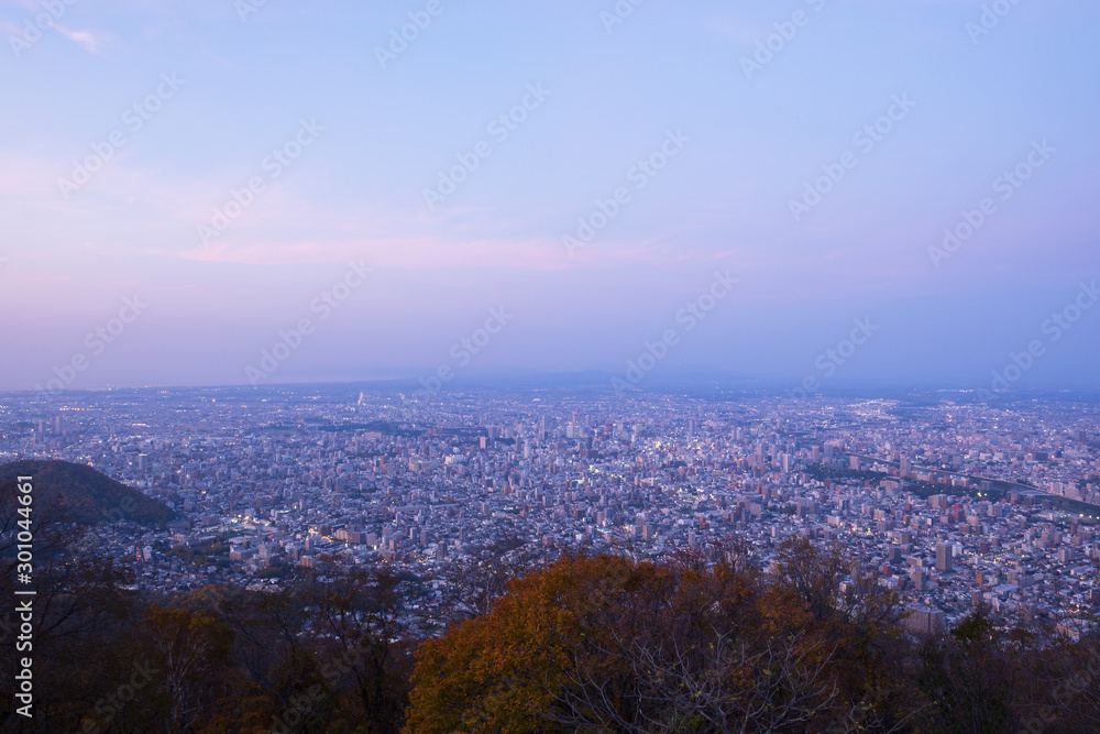 藻岩山からの景色