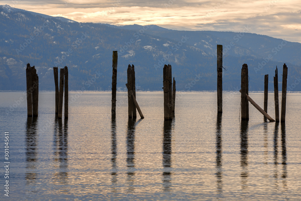Wooden poles in the lake.