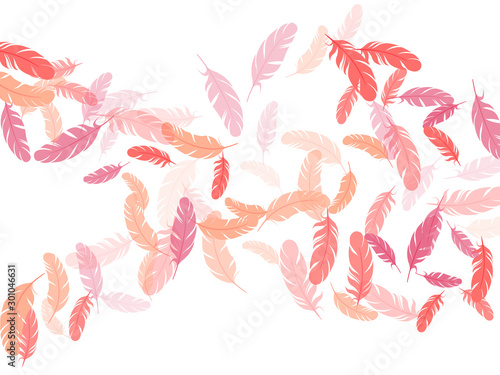 Detailed majestic feather on white design.