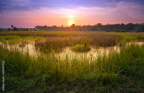 Sunset Country Landscape.