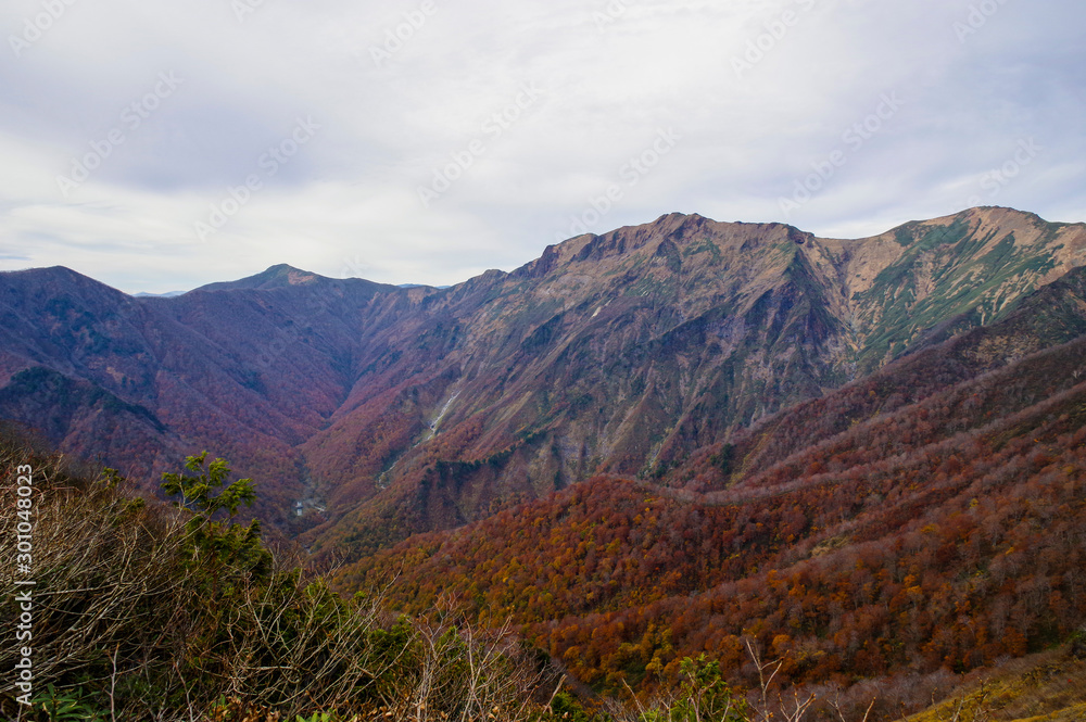 Fototapeta premium 紅葉の谷川岳