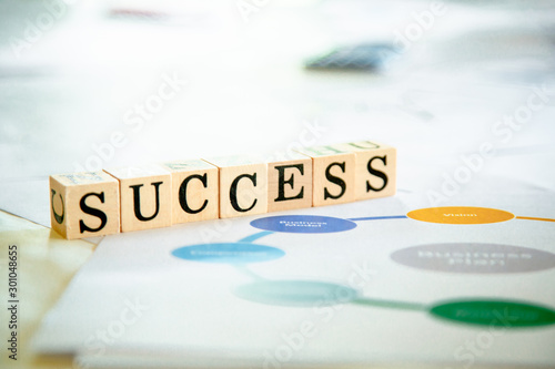 SUCCESS written with wood cubes letters on chart business