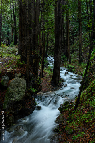 Limekiln Creek Rushes Through Forest